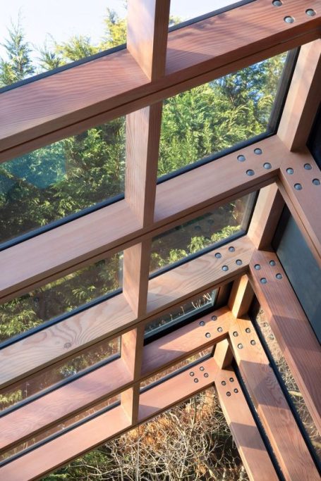 Glazed roof with timber frame - precedent used by MUSTARD Plans