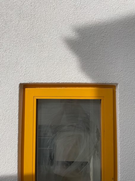 MUSTARD Windows for MUSTARD Plans